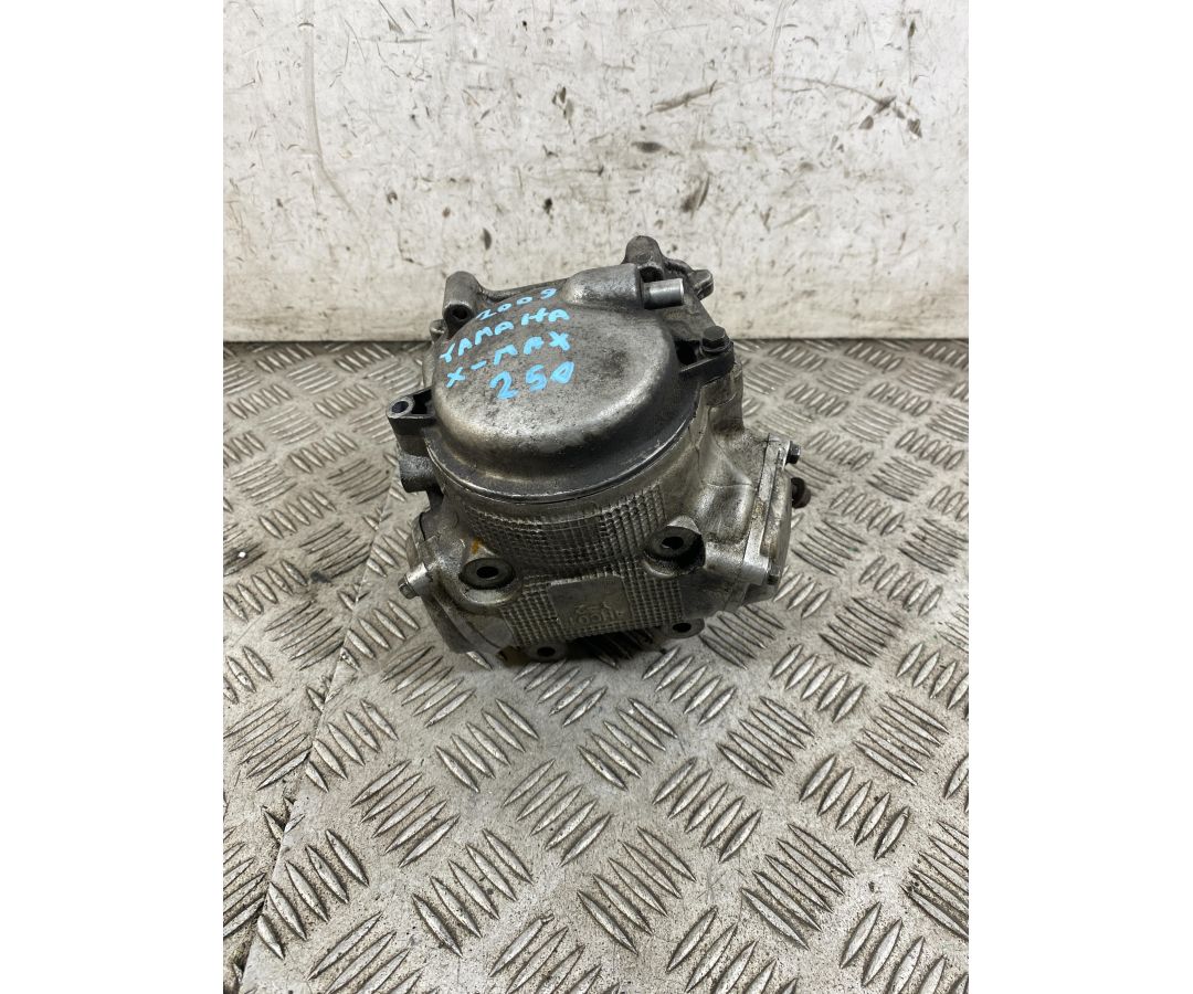 Testata Completa Yamaha X-Max Xmax 250 Dal 2005 al 2009  1765380110693