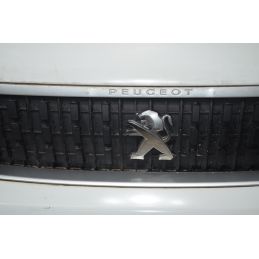 Paraurti Anteriore Superiore Peugeot Expert Dal 2016 in poi Cod 1615627580  1765442292497