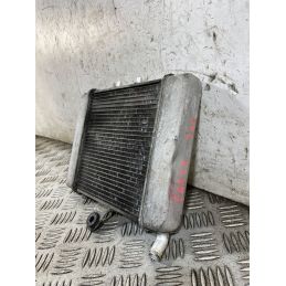 Radiatore Honda Forza 300 Dal 2013 Al 2017  1765797326434