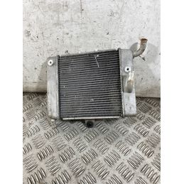 Radiatore Honda Forza 300 Dal 2013 Al 2017  1765797326434