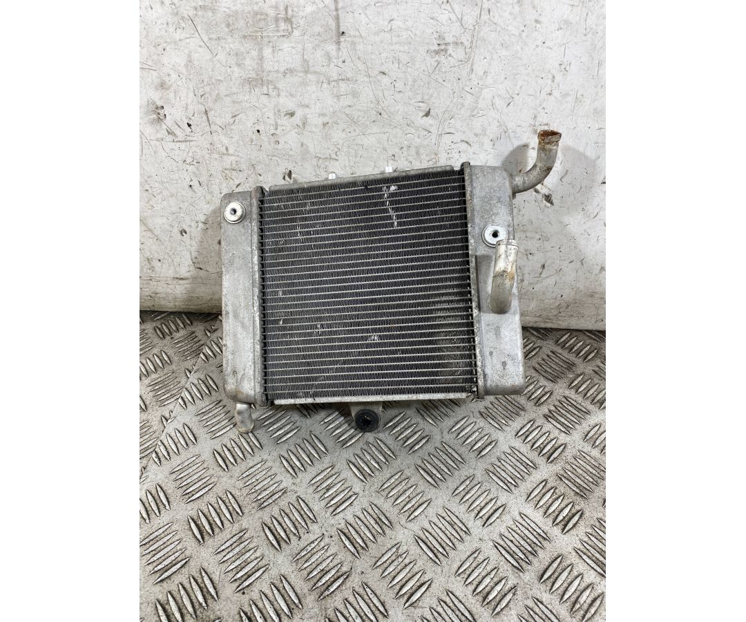 Radiatore Honda Forza 300 Dal 2013 Al 2017  1765797326434
