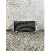 Radiatore Acqua Yamaha T-Max Tmax 560 Dal 2020 al 2025  1765806372834