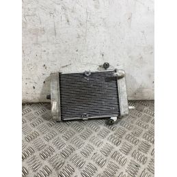 Radiatore Acqua Honda SH 300 Dal 2016 al 2020  1765814752604
