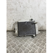 Radiatore Acqua Honda SH 300 Dal 2016 al 2020  1765814752604