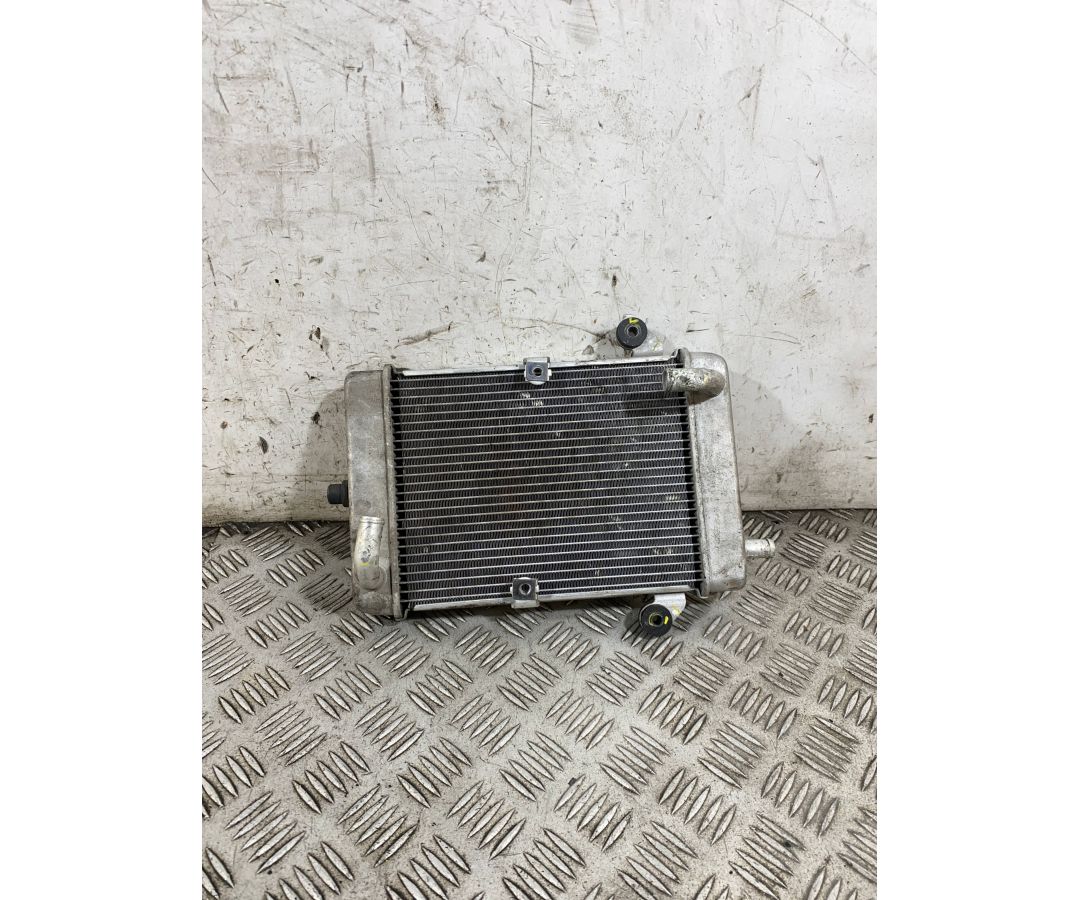 Radiatore Acqua Honda SH 300 Dal 2016 al 2020  1765814752604