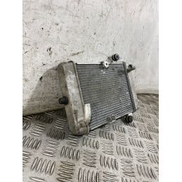 Radiatore Acqua Honda SH 300 Dal 2016 al 2020  1765814752604