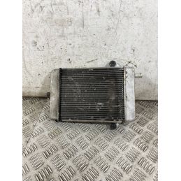 Radiatore Acqua Honda SH 300 Dal 2016 al 2020  1765814752604