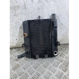 Radiatore Acqua Honda Foresight 250 Dal 1998 al 2004  1765873547975