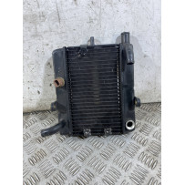 Radiatore Acqua Honda Foresight 250 Dal 1998 al 2004  1765873547975