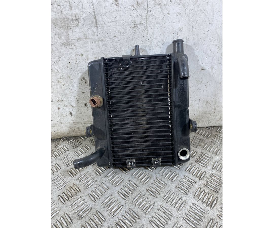 Radiatore Acqua Honda Foresight 250 Dal 1998 al 2004  1765873547975