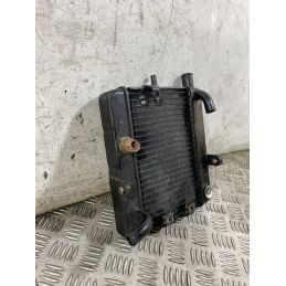 Radiatore Acqua Honda Foresight 250 Dal 1998 al 2004  1765873547975
