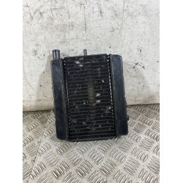 Radiatore Acqua Honda Foresight 250 Dal 1998 al 2004  1765873547975