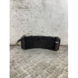 Radiatore Acqua Yamaha Tmax T-Max 500 dal 2001 al 2004  1765880379774