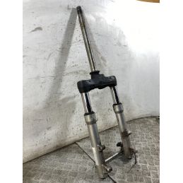 Forcella Aprilia Scarabeo 500 Dal 2002 al 2006  1765900433349