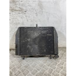 Radiatore Con Elettroventola Yamaha YZF R6 dal 1999 al 2003  1765965571802