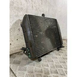 Radiatore Con Elettroventola Yamaha YZF R6 dal 1999 al 2003  1765965571802