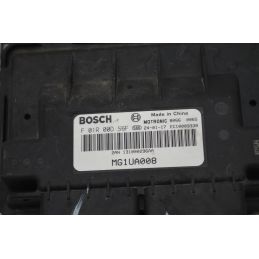 Centralina ECU DR 5 Dal 2024 in poi Cod F01R00DS6F  1767613778199