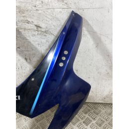 Carena Scudetto Anteriore Suzuki GSX-R GSXR 1000 Dal 2005 Al 2006  1767868955604