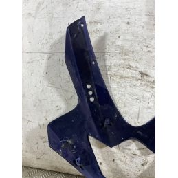 Carena Scudetto Anteriore Suzuki GSX-R GSXR 1000 Dal 2005 Al 2006  1767868955604