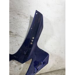 Carena Scudetto Anteriore Suzuki GSX-R GSXR 1000 Dal 2005 Al 2006  1767868955604