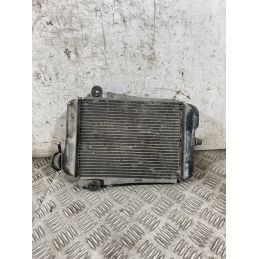 Radiatore Acqua Honda SH 300 Dal 2006 al 2010  1767954431722