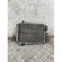 Radiatore Acqua Honda SH 300 Dal 2006 al 2010  1767954431722