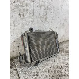 Radiatore Acqua Honda SH 300 Dal 2006 al 2010  1767954431722