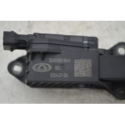 Pedale Acceleratore DR 5 Dal 2024 in poi Cod 204000516AA  1768379669820