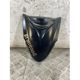 Carena Scudetto Anteriore Honda SH 300 Dal 2006 al 2010  1768405555356