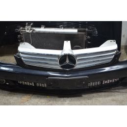 Musata Mercedes CLS C219 Dal 2004 al 2010 Cod A2198800357  1768647867187