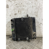 Radiatore Acqua Honda Foresight 250 Dal 1998 al 2004  1768821195914