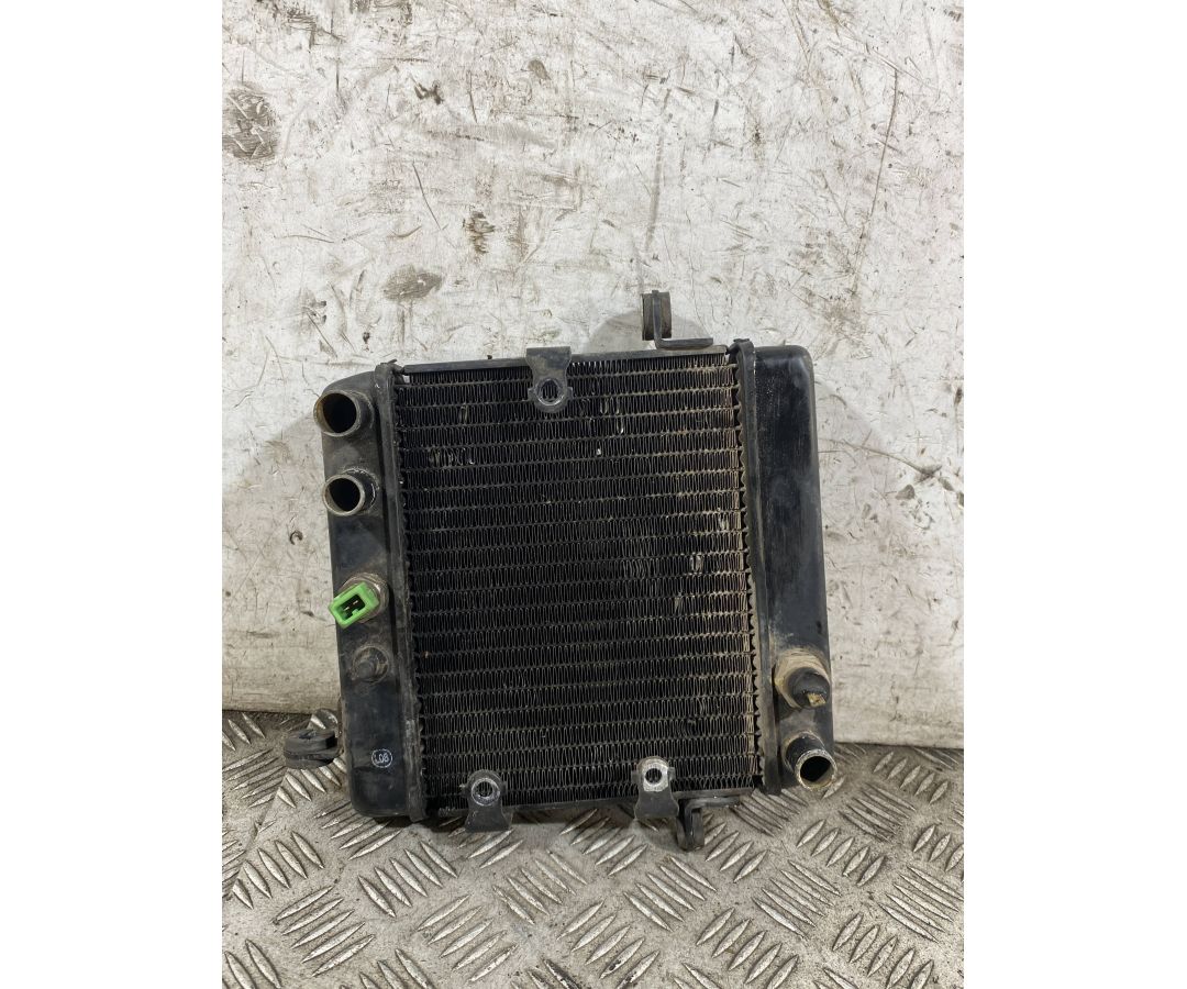 Radiatore Acqua Honda Foresight 250 Dal 1998 al 2004  1768821195914