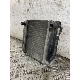 Radiatore Kymco People GT 300 Dal 2010 al 2017 COD U05121-10000  1768822328724