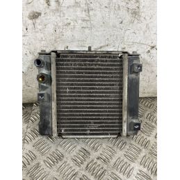 Radiatore Kymco People GT 300 Dal 2010 al 2017 COD U05121-10000  1768822328724