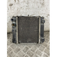 Radiatore Kymco People GT 300 Dal 2010 al 2017 COD U05121-10000  1768822328724