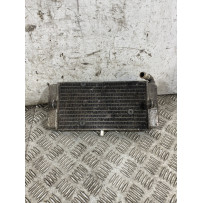 Radiatore Yamaha X-Max XMax 250 Dal 2010 al 2013  1768823183858