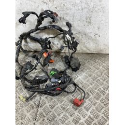 Cablaggio Impianto Elettrico Honda CB 500 X ABS Dal 2016 Al 2017  1768920257162