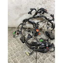 Cablaggio Impianto Elettrico Honda CB 500 X ABS Dal 2016 Al 2017  1768920257162