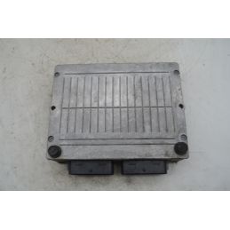 Centralina GPL Ford Fiesta VI Dal 2008 al 2017 Cod DE815198-2  1769413954872