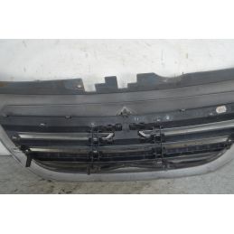Griglia Anteriore Citroen C3 Dal 2002 al 2009 Cod 9642692880  1769419172683