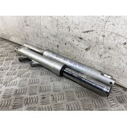 Coppia Steli Forcella Honda SH 300 Dal 2016 al 2020  1769525011692