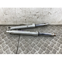 Coppia Steli Forcella Honda SH 300 Dal 2006 al 2010  1769598428588
