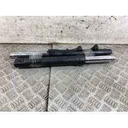 Coppia Steli Forcella Honda SH 300 Dal 2006 al 2010  1769598840014