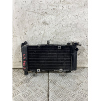 Radiatore Acqua Honda CB 500 X ABS Dal 2016 Al 2017  1769608774865