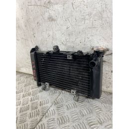 Radiatore Acqua Honda CB 500 X ABS Dal 2016 Al 2017  1769608774865