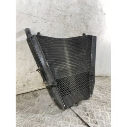Radiatore Acqua Honda CBR 1000 RR Fireblade Dal 2004 Al 2005  1769612599485