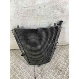 Radiatore Acqua Honda CBR 1000 RR Fireblade Dal 2004 Al 2005  1769612599485