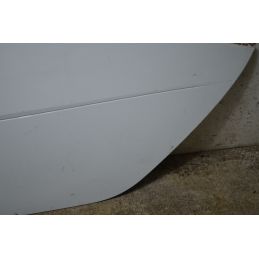 Pannello Portiera Anteriore SX Smart ForTwo W451 Dal 2007 al 2014 Cod A4517220109CA8L  1770040357981