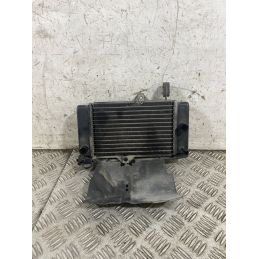 Radiatore Yamaha MT-125 MT 125 Dal 2014 al 2017  1770301624388