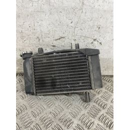 Radiatore Yamaha MT-125 MT 125 Dal 2014 al 2017  1770301624388